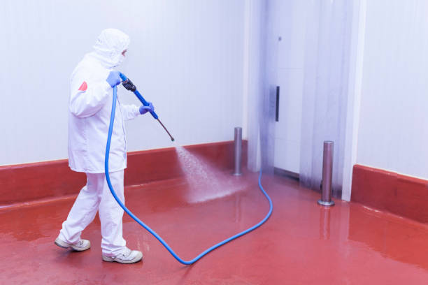 Best Paint Preparation  in Folsom, NJ